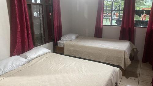 Santa Elena Hostel | Monteverde Monkey Hostel
