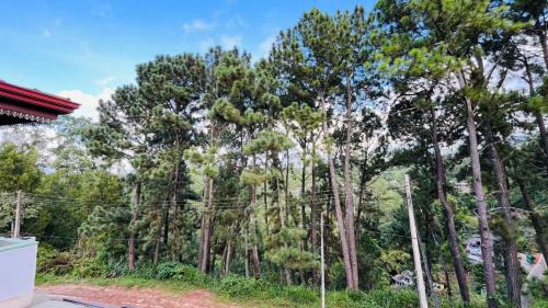 Bandarawela Apartment | Moons Edge