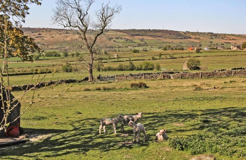 Winkhill Bed & Breakfast | Moorland View Farm B&B
