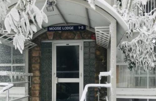 Mount Buller Apartment | Moose 10 AMS Mt Buller