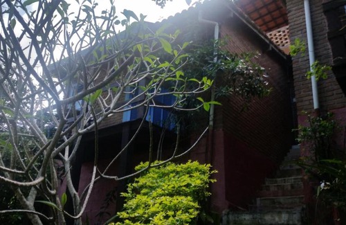 Ferradurinha House | Moradas Geribá e Ferradurinha