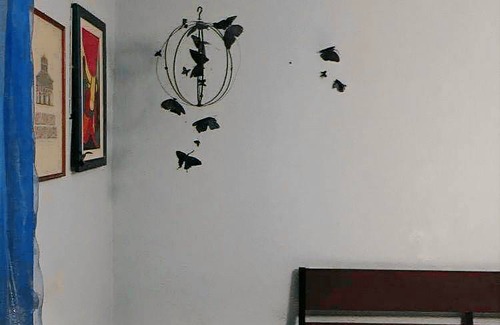 Pisa City Centre House | Motel