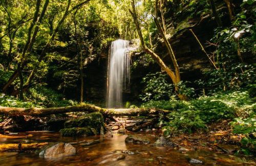Pilgrims Rest Hotel | Mount Sheba Rainforest Hotel & Resort