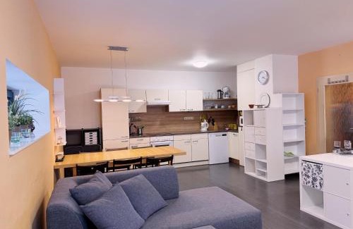 Loucna Pod Klinovcem Apartment | Mountain apartment Klinovec Hexagon B14