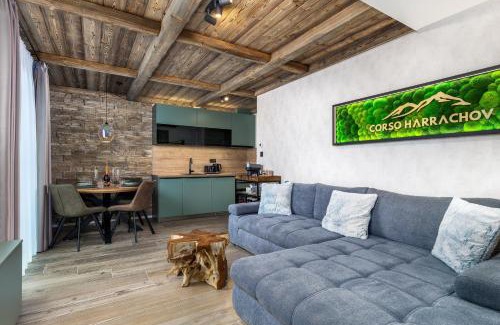 Harrachov Apartment | Mountain Apartment No 209-CORSO Harrachov, High Speed WI-FI, Ambilight smart TV, Netflix, YouTube, FREE parking, PRIVATE ski storage, "Ski-in Ski-out"