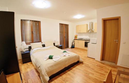 Shiligarnika Apartment | Mountain View Aparthotel