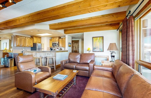 Crested Butte Condo | Mountain view condo with fireplace & W/D and access to shared hot tub