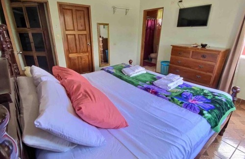 San Ignacio House | Mountain View Family Home In Town with King Suite and Midterm Available