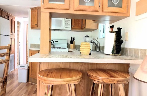 Whittier Cabin | Mountain Views Cabin with Loft WiFi Pets Casino Fire pit Tesla Charger