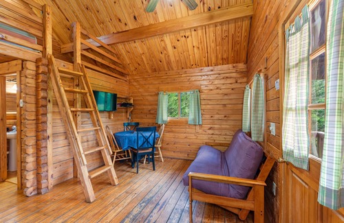 Rileyville Cabin | Mountain Views, River Frontage & HotTub + Country!
