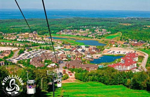Craigleith House | Mountainview Loft at North Creek Resort
