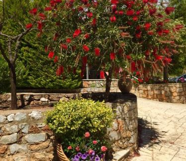 Kardamyli House | Mouses Apartments-Kardamyli