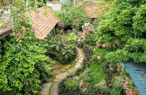 Hoa Lu House | Mr. Viet home stay