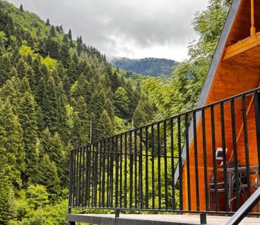Racha-Lechkhumi and Lower Svaneti House | Mtiskari cottage in Utsera