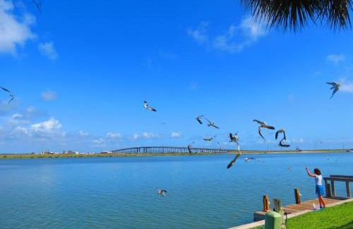 Corpus Christi Apartment | Multi Resorts at Puente Vista