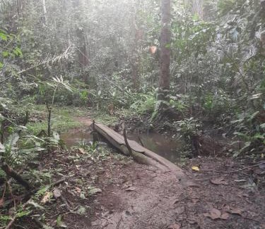 Marau Other | Multiverso