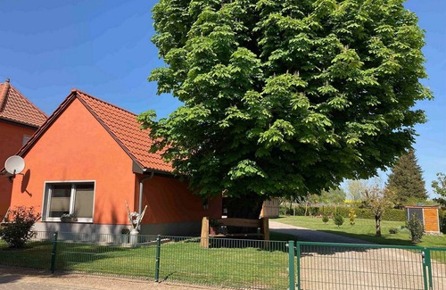 Muritz House | Müritz vacation at the chestnut tree in Sembzin