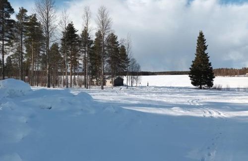 Ranua House | Mursuaho family stay