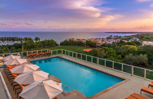 Coconut Grove Apartment | MVR - Longest Rooftop Pool in Florida-Yours