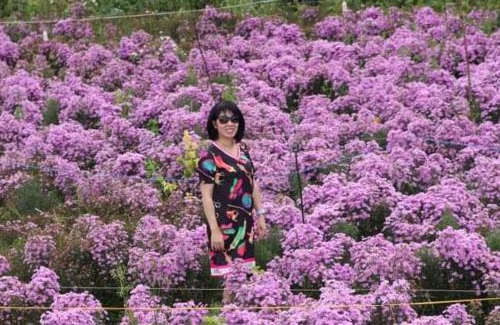 Da Lat House | My Anh Guest House