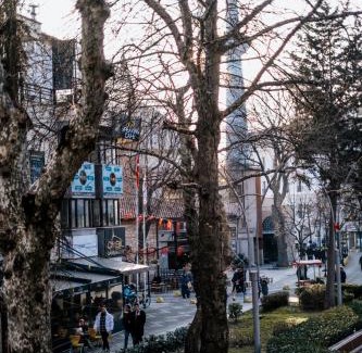 Yalova Hotel | MY Smart