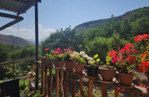 Vayots Dzor Province Bed & Breakfast | MyhomeIsYourhome