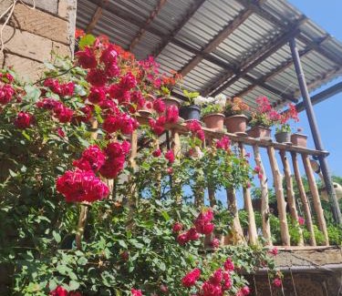 Vayots Dzor Province Bed & Breakfast | MyhomeIsYourhome