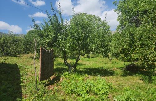 Vayots Dzor Province Bed & Breakfast | MyhomeIsYourhome