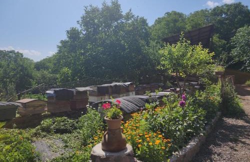 Vayots Dzor Province Bed & Breakfast | MyhomeIsYourhome