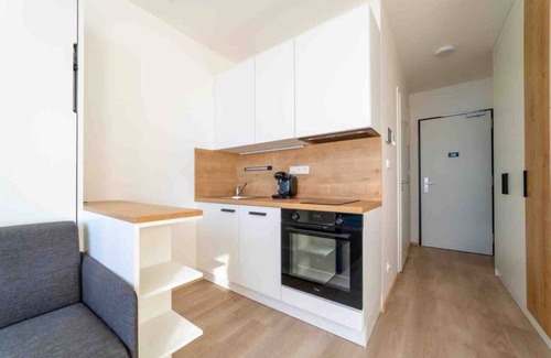 Smichov Apartment | MyMozart City Center Residence: Cinnamon Studio
