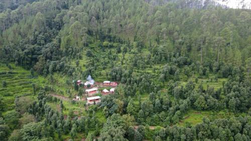 Nainital Resort | Myrica Cottages By Mountain Souls Near Kainchi Dham Neem Karoli Baba Ashram Bhowali Nainital