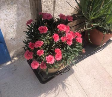 Canosa di Puglia House | Nòstos