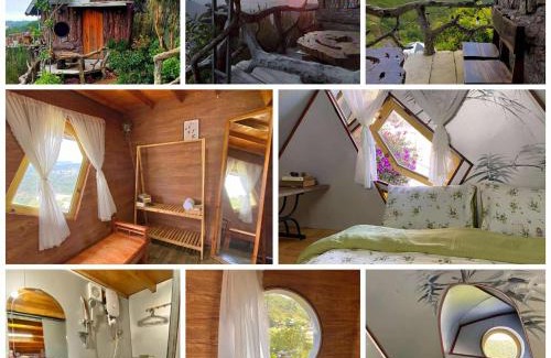 Da Lat Cabin | Nắng Xanh - Shanti Homestay Đà Lạt
