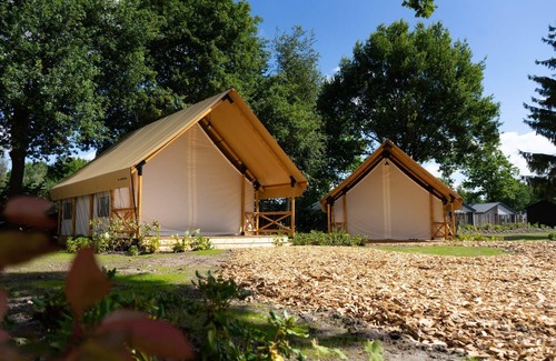 Mol Cabin | n/a