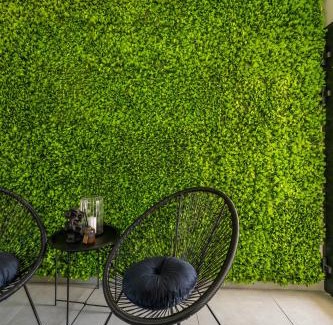 Mrzezyno Bed & Breakfast | NA ŻAGLOWEJ