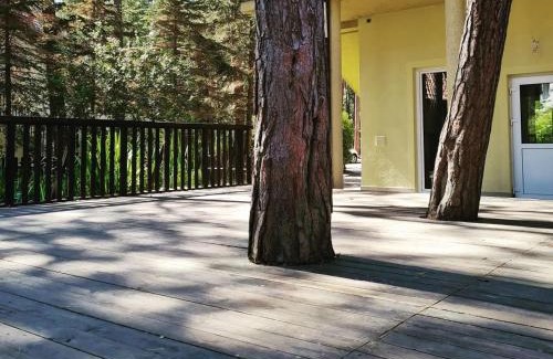 Pobierowo Apartment | Nadmorski apartament Rybitwa 7