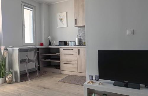 Wzgorze Swietego Maksymiliana Apartment | Nadmorski