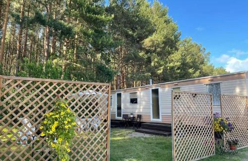 Palanga House | Namelis Pušų pakrašty