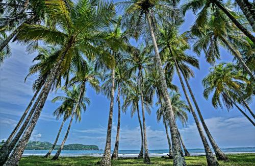 Samara Hotel | Nammbú Beach Front Bungalows