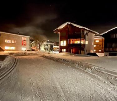 Obergesteln Apartment | Nanisgarten - Grannys flat