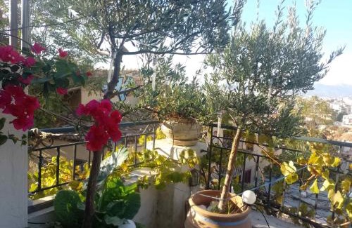 Plaka Villa | Nanny's Guest House in Plaka