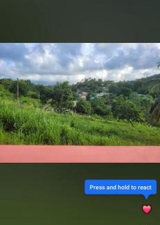 Marigot Bed & Breakfast | Natrue's Haven