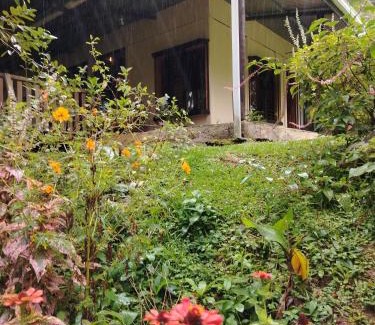 Pavones House | Natural paradise