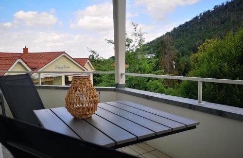 Bad Harzburg Apartment | NaturPur