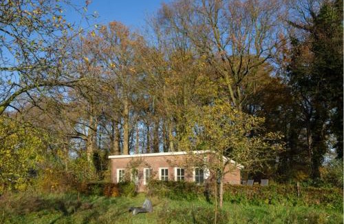 Breedenbroek Other | Natuurhuisje De kleine Varenhorst