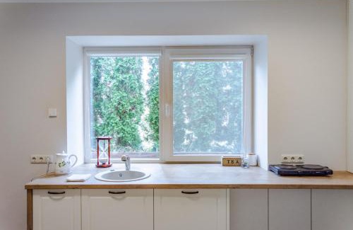 Birstonas Apartment | Near park apartment with balcony