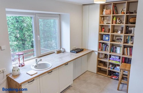 Birstonas Apartment | Near park apartment with balcony