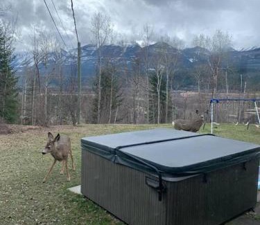Golden House | Nell's Mountain Lodge - Arcade Hottub Fire Pit 5 Acres