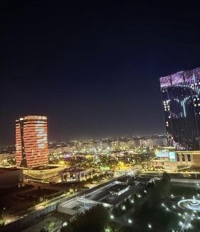 Tashkent Apartment | Nest One Tower 12 51 view of the park