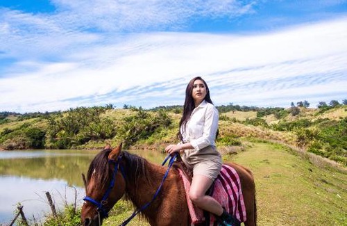 Pagudpud Hotel | Nest Resort